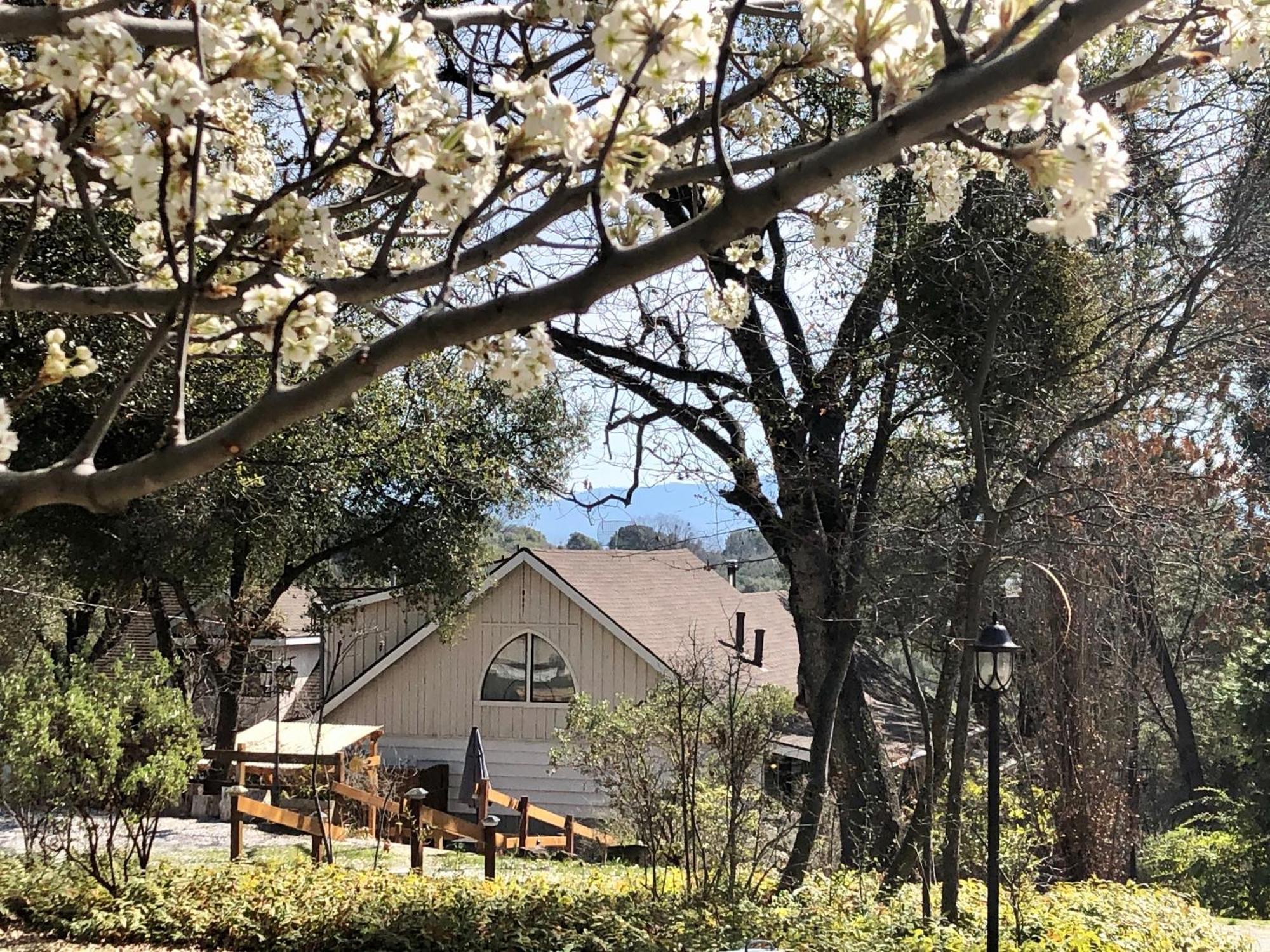 Sierra Mountain Lodge - Vacation Rentals - Yosemite Ahwahnee Exteriör bild